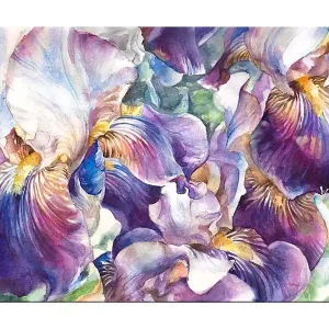 Outlet Canvastavla 70x100 cm - Vackra irisblommor i en färgsprakande komposition Lila / Vit / Gul - Inredning