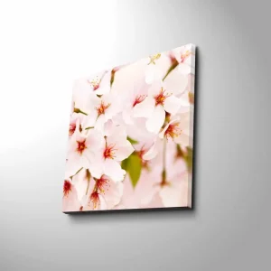 I lager Canvastavla 45x45 cm - Blomstrande körsbärsblommor i pastelltoner Ljusrosa / Vit / Grön - Inredning