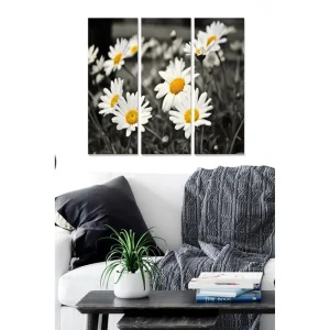 Rabatt Canvastavla i trä 3-delar 50x70 cm - Svartvitt fotografi av prästkragar med gula mittar Vitt / Gult / Svart - Inredning