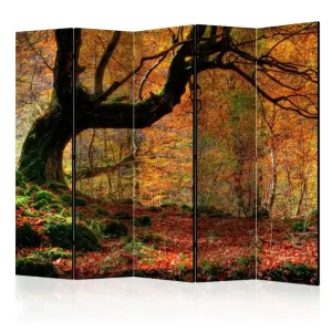 Trygg betalning Rumsavdelare - Autumn, forest and leaves II 225x172 - Inredning & dekor