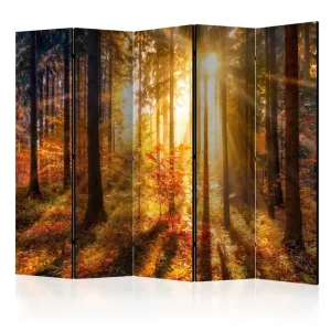 Billig Rumsavdelare - Autumn Awakening II 225x172 - Inredning & dekor