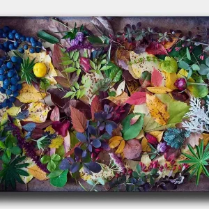 Canvastavla 70x100 cm - Färgglad samling av höstlöv och bär Grön / Röd / Gul - Inredning Billigare