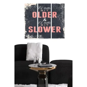 Canvastavla i trä 3-delar 50x70 cm - Textbaserat konstverk med humoristiskt budskap om ålder och livstempo Mörkblå / Rosa / Beige - Inredning Begränsat antal