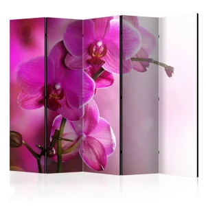 Beställ nu Rumsavdelare - Pink orchid II 225x172 - Inredning & dekor