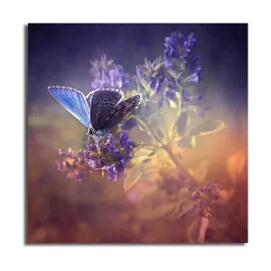 Canvastavla Floral Flerfärgad 45x45 cm - Inredning Snabb frakt