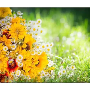 Nyhet Canvastavla 70x100 cm - Färgglad bukett med gula blommor och vita prästkragar Gult / Vitt / Orange - Inredning