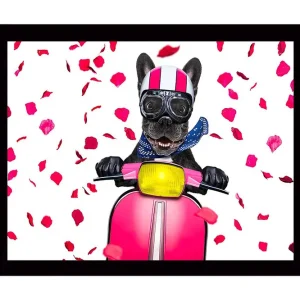 Inramad Canvastavla i trä - 41x56 cm - Hund på scooter med rosett av rosblad Rosa / Svart / Gul - Inredning Trygg betalning