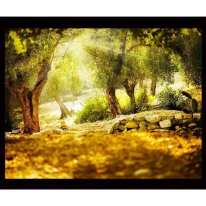 Inramad Canvastavla i trä - 41x56 cm - Solbelyst skog med olivträd Grön / Guld / Brun - Inredning Erbjudandepris