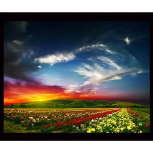 Inramad Canvastavla i trä - 41x56 cm - Färgrik blomsteräng under en dramatisk solnedgång Röd / Gul / Grön - Inredning Bästa pris