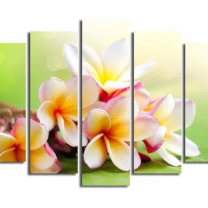 Lägg i varukorgen Canvastavla 5-pack Flerfärgad 19x60 cm - Inredning