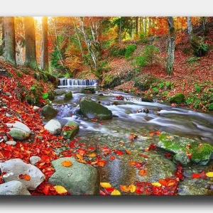 Beställ nu Canvastavla 70x100 cm - Vacker höstscen med en porlande bäck omgiven av färgglada höstlöv Röd / Grön / Brun - Inredning