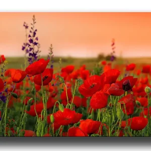 Decorative Canvas Painting 50x70 - Inredning Outlet