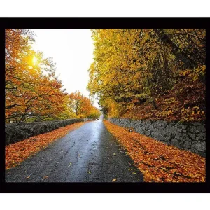 Inramad Canvastavla i trä - 41x56 cm - Vacker höstlandskap med en väg omgiven av gyllene träd Guld / Orange / Grå - Inredning Premium