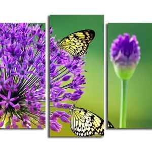 Premium Canvastavla 3-pack Flerfärgad 20x39 cm - Inredning