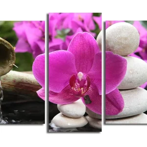 Billig Canvastavla 3-pack Flerfärgad 20x39 cm - Inredning