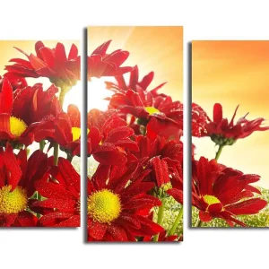 risnedsättning Canvastavla 3-pack Flerfärgad 20x39 cm - Inredning