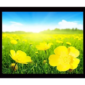 Inramad Canvastavla i trä - 41x56 cm - Fält av gula blommor i soligt landskap Gul / Grön - Inredning Erbjudandepris