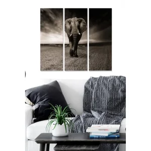 risnedsättning Tavla Animal 3-pack Flerfärgad 20x50 cm - Inredning