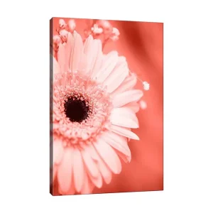 Canvastavla 70x100 cm - Närbild av en rosa blomma med en mörk mittpunkt Rosa / Svart - Inredning Begränsat erbjudande