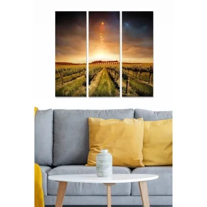 Canvastavla i trä 3-delar 50x70 cm - Vacker vinodling under en solnedgång Grön / Guld / Blå - Inredning Köp online