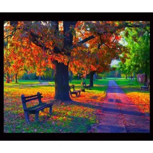 Inramad Canvastavla i trä - 41x56 cm - Vacker höstscen med färgglada träd och bänkar i en park Orange / Grön / Brun - Inredning Endast denna vecka