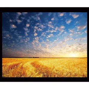 Trygg betalning Inramad Canvastavla i trä - 41x56 cm - Vacker solnedgång över ett gyllene fält av vete Guld / Blå / Vit - Inredning