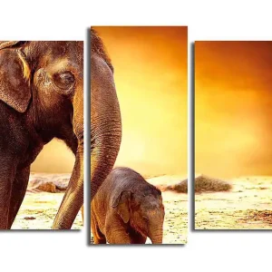 Canvastavla Animal 3-pack Flerfärgad 20x39 cm - Inredning Kampanjpris