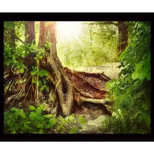 Inramad Canvastavla i trä - 41x56 cm - Lummig skog med en stor trädrot och solstrålar som sipprar genom lövverket Grön / Brun / Gul - Inredning Begränsat erbjudande