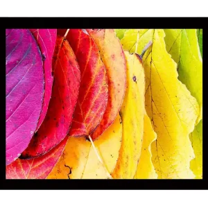 Begränsat erbjudande Inramad Canvastavla i trä - 41x56 cm - Färgglada höstlöv i olika nyanser Rosa / Röd / Gul - Inredning