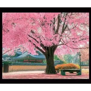 Köp nu Inramad Canvastavla i trä - 41x56 cm - Blommande körsbärsträd i en vacker parkmiljö Rosa / Grön / Brun - Inredning