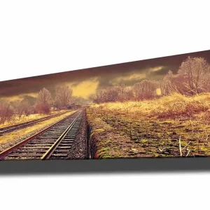Dekorativ Canvastavla 30x90 cm Flerfärgad - Inredning Expressleverans