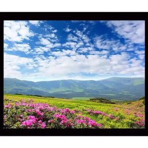 Köp online Inramad Canvastavla i trä - 41x56 cm - Blomstrande äng med rosa blommor och fjärran berg i bakgrunden Rosa / Grön / Blå - Inredning