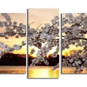 Canvastavla 3-pack Flerfärgad 20x39 cm - Inredning Beställ nu