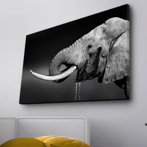 Bästa pris Canvastavla med LED-belysning - Elefant i svartvitt med detaljerad textur - Inredning & dekor