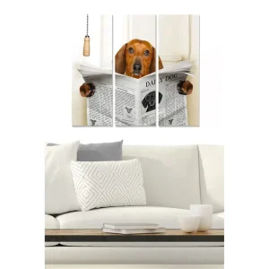 Canvastavla i trä 3-delar 50x70 cm - Hund som läser tidningen med nyfikenhet Brun / Svart / Vit - Inredning Rea