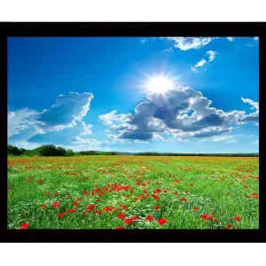 Inramad Canvastavla i trä - 41x56 cm - Blomstrande äng med röda vallmo och vita blommor under en klarblå himmel Grön / Röd / Vit - Inredning Rabatt
