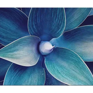 Säker betalning Canvastavla 70x100 cm - Stiliserad närbild av en växt med stora, böljande blad Blå / Turkos - Inredning