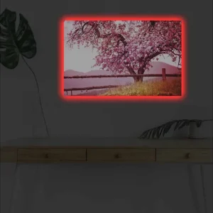 Begränsad tid Canvastavla med LED-belysning - Blommande körsbärsträd i en idyllisk landskapsmiljö - Inredning & dekor