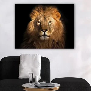 Sista chansen Canvastavla 70x100 cm - Majestätisk lejonhuvud med intensiv blick Guld / Brun / Svart - Inredning