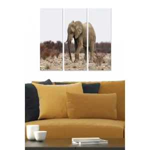 Canvastavla Animal 3-pack Flerfärgad 20x50 cm - Inredning Snabb frakt