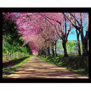 Inramad Canvastavla i trä - 41x56 cm - Vacker allé med blommande körsbärsträd i rosa nyanser Rosa / Grön / Brun - Inredning Begränsat antal