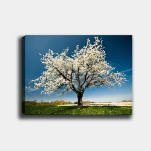 Populär Dekorativ Canvastavla 50x70 cm Flerfärgad - Inredning