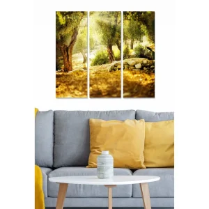 Canvastavla i trä 3-delar 50x70 cm - Solbelyst landskap med olivträd och stenmur Guld / Grön / Brun - Inredning Köp online
