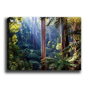 Rea Canvastavla 70x100 cm - Frodig skog med höga träd och gröna växter som skapar en lugn och naturnära atmosfär Grön / Brun / Ljusblå - Inredning