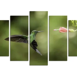 Endast denna vecka Canvastavla Animals 5-pack Flerfärgad 20x60 cm - Inredning