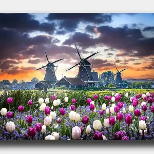 Begränsat erbjudande Decorative Canvas Painting 50x70 - Inredning