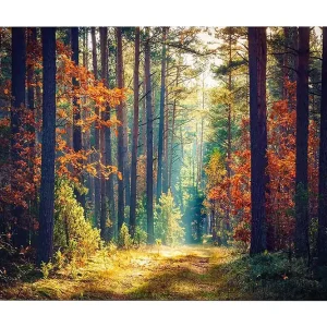Dekorativ Canvastavla 50x70 cm Flerfärgad - Inredning Trygg betalning