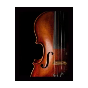 I lager Inramad Canvastavla i trä - 41x56 cm - Elegant violin med detaljerad trästruktur Mörkbrun / Ljusbrun / Svart - Inredning