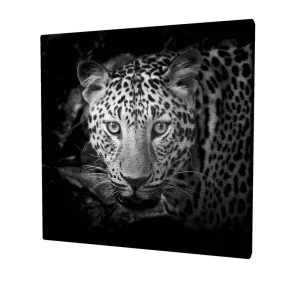 Säker betalning Canvastavla 45x45 cm - Porträtt av en leopard med intensiva ögon Svart / Vit / Grå - Inredning