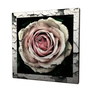 Beställ idag Canvastavla 45x45 cm - Vacker ros med detaljerad textur och färgnyanser Rosa / Grå / Svart - Inredning